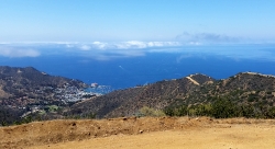 Breathtaking views of Catalina Island from a hiking trail